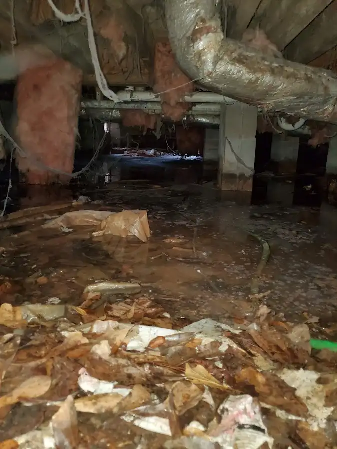 Crawl space flood assessment for Commercial Water Damage Restoration in Meadowbrook